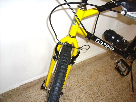 Loading Image