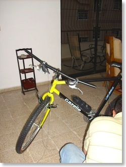 Manecillas puestas